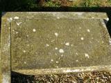 image of grave number 554872